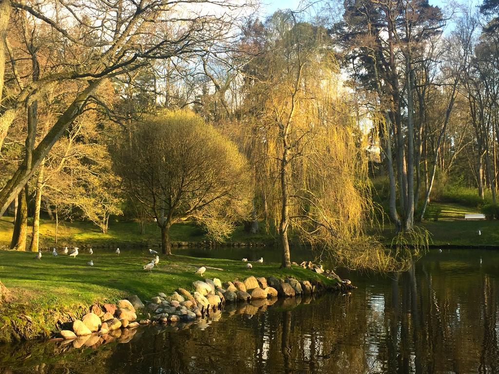 Vila Elegancija Palanga Kültér fotó